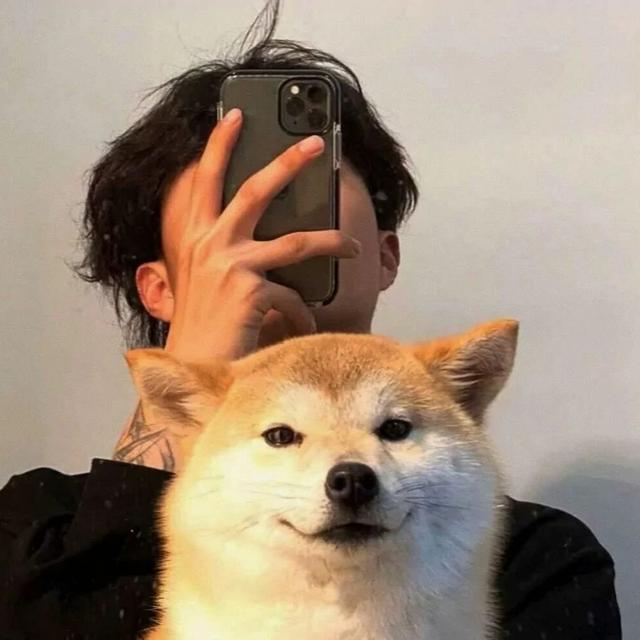 可爱傻屌头像微信，可爱傻屌头像（一些可爱又沙雕的头像）