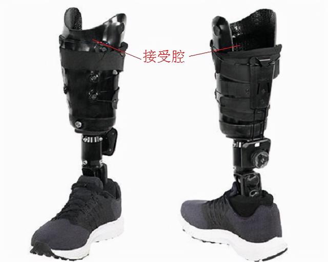 义肢和假肢有哪些不同，假腿为什么叫义肢（下肢截肢的类型及适用的假肢）