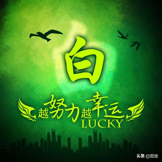 多幸运在最美的年纪遇见你，多幸运，在最美的年纪遇见你（一款以绿色为背景的微信头像悄悄送给你）