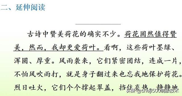 莲蓬的蓬是不是读轻声，莲蓬的蓬为什么读轻声（部编版语文三年级下册第3课《荷花》图文讲解）