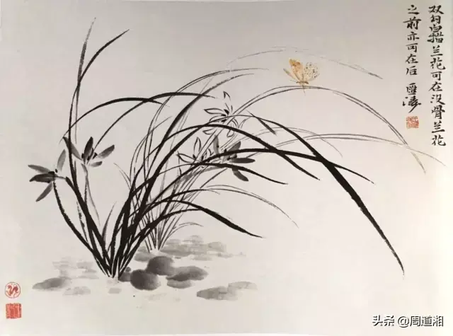草的简笔画怎么画，猪笼草的简笔画怎么画（兰草的画法）
