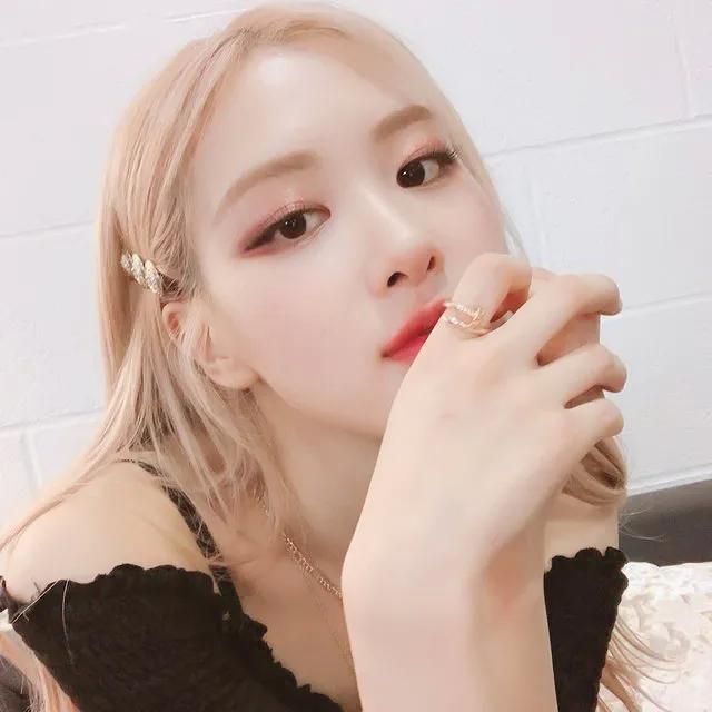 /江樱/ 澳洲野玫瑰朴彩英头像1弹微信，/江樱/ 澳洲野玫瑰朴彩英头像1弹（Rose头像壁纸澳洲野玫瑰）