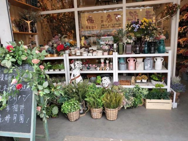 荷花最好看的品种是什么，这花最好看、最好养