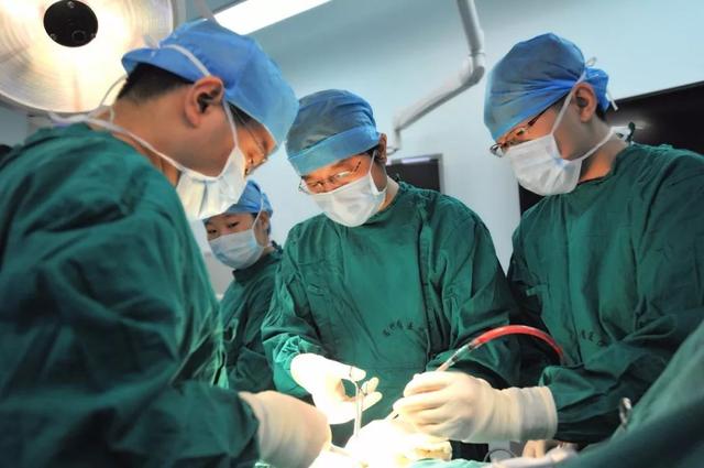 胰脏是什么，胰脏是什么番（还有4类主要原因）