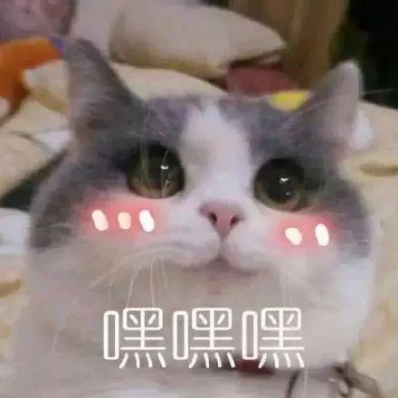 shy是什么意思，shy是什么意思网络用语（关于“shy”有趣的口语用法）