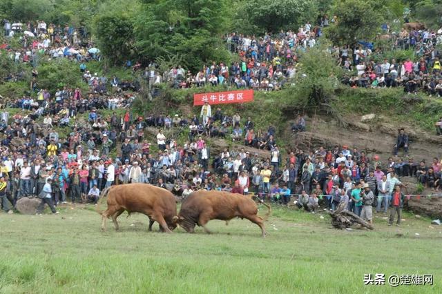 彝族的节日,彝族的什么节日最重要(国家级非物质文化遗产项目——彝族火把节) 彝族的节日,彝族的什么节日最重要(国家级非物质文化遗产项目——彝族火把节)