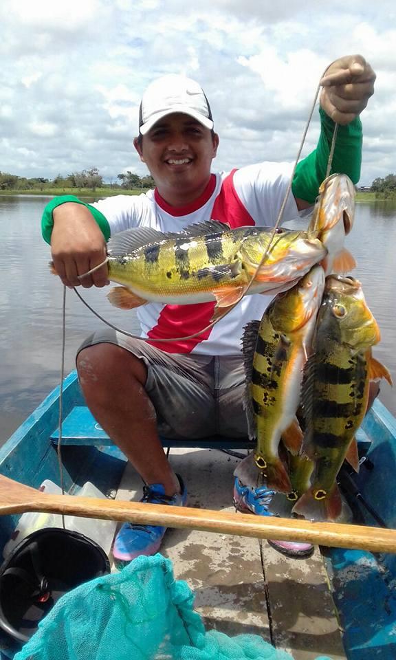 帝王三间和巴西亚鱼有什么区别，巴西亚鱼与皇冠三间鱼有什么区别（也许等不到中国钓鱼人就被消灭光了）