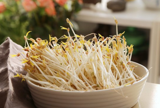 怎样做美味的豆腐炒豆芽，豆腐炒豆芽窍门（豆芽的黄金搭档）