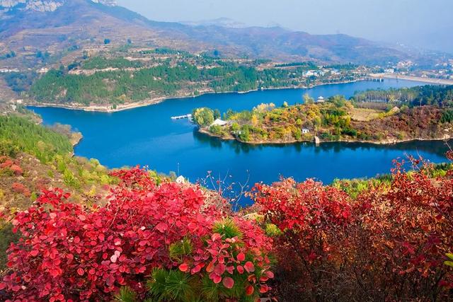 满山红叶似彩霞，阿宝歌曲大全（山东最全赏红叶地图来了）