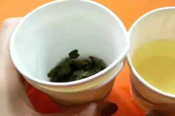 可回收垃圾介绍，可回收垃圾有哪些（干垃圾、湿垃圾、厨余垃圾…究竟怎么分）