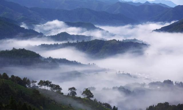 歙縣旅遊攻略,想去就行動(春遊江淮請您來丨登黃山天下無山)