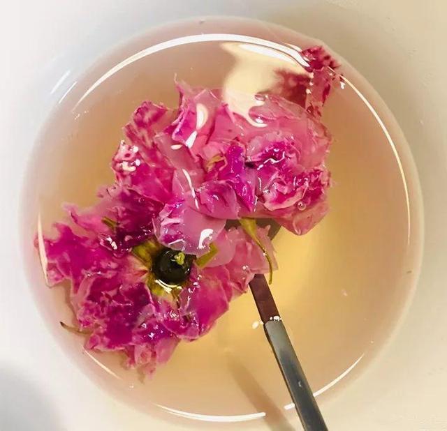 不锈钢盆可以放烤箱吗，烤箱里可以放不锈钢盆吗（10种花最养人）