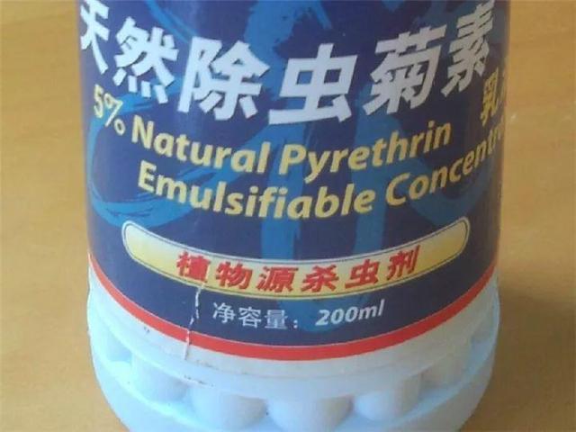 家里有鼻涕虫怎么消灭，鼻涕虫怎么彻底消灭（自制天然杀虫水）