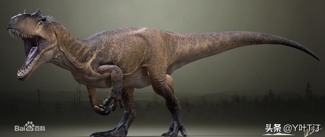 特暴龙 体态比较大属于暴龙超科远亲是霸王龙，特暴龙和霸王龙谁厉害（异特龙超科<下盘点>）
