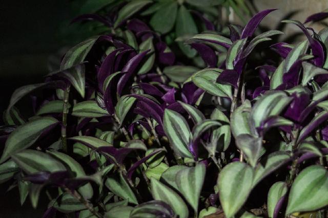 a6061是什么材质，材料6061是什么材质 （多一份关爱，傲雷i1R）