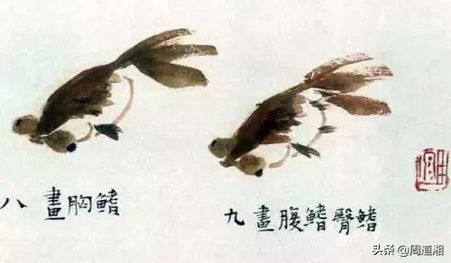 金鱼画法步骤图解,国画写意鲤鱼、金鱼的画法 金鱼画法步骤图解,国画写意鲤鱼、金鱼的画法