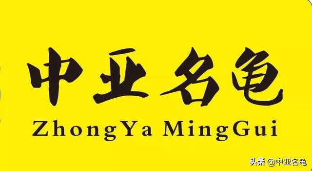 治疗乌龟眼病要注意什么，怎么预防乌龟眼睛肿胀（秋天，谨防乌龟出现烂眼病）