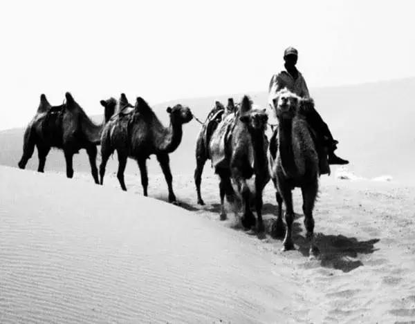 山西晋商是啥时候开始没落的，辉煌的晋商为何最后衰落了