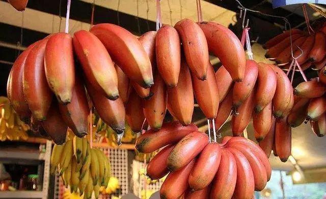 中国最贵的水果图片