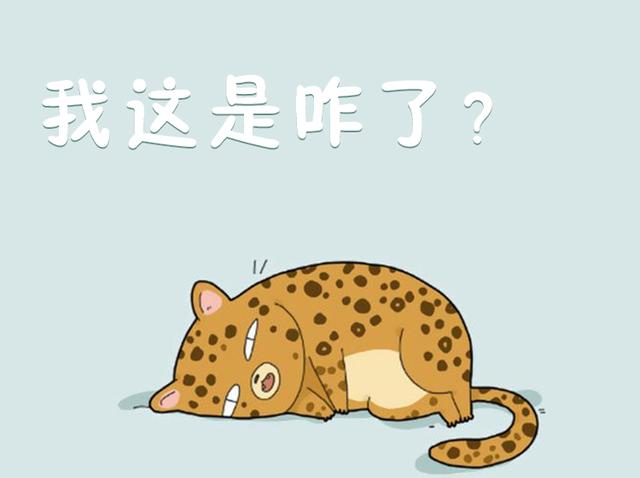 猫可以喝椰奶吗，椰子无糖酸奶猫能吃吗（你应该知道猫和牛奶的这些历史）
