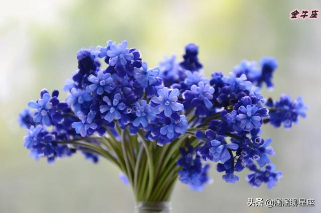 巨蟹女为什么没人追，巨蟹座女生为什么没人追（却很少有人追的四大星座）