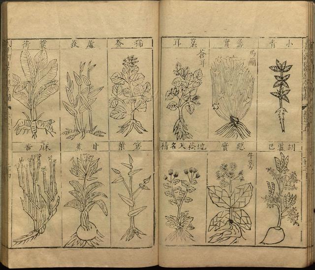 本草纲目全书带图，李时珍本草纲目全书（李时珍著《本草纲目》附图卷）