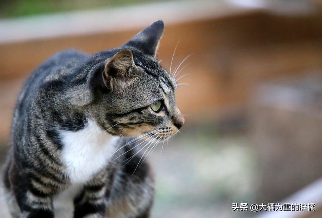 得了艾滋一辈子完了吗，感染艾滋病的一生就完了（多注意这些小细节）