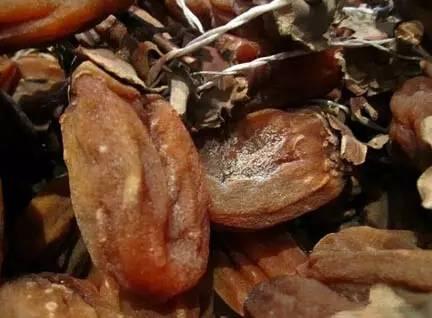 柿饼的制作方法，柿饼怎么制作才好吃（做柿饼原来如此简单）