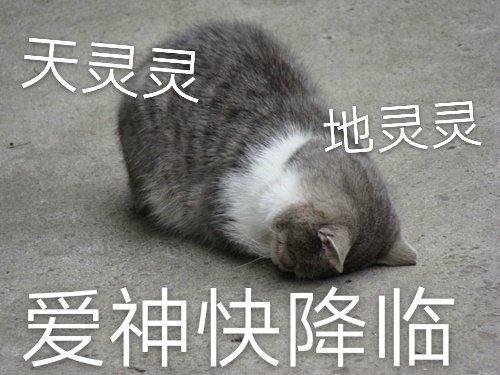 你在教我做事啊表情包，“你在教我做事（表情包：你在教我做事）