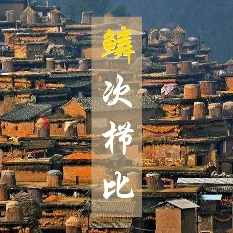 鱼身上的鳞片有什么用，鱼身上掉鳞片怎么办（鱼鳞：不仅能帮科学家研究鱼类）