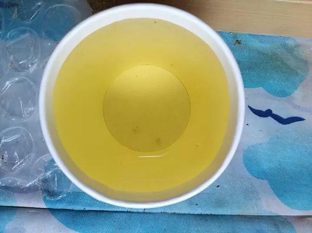 家里有鼻涕虫怎么消灭，鼻涕虫怎么彻底消灭（自制天然杀虫水）