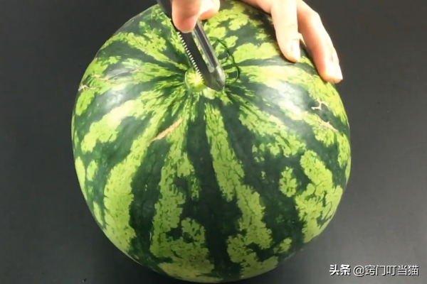 西瓜汁怎么做好喝，番茄汁怎么榨好喝（教你1分钟榨出原汁原味的西瓜汁）