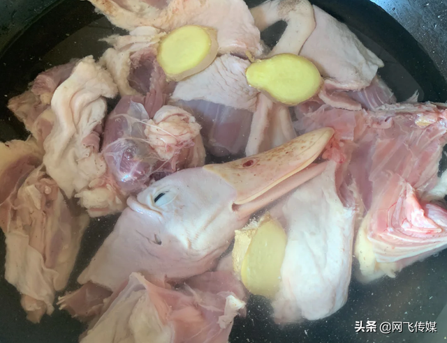 滋补老鸭汤，老鸭汤怎么炖（喝上一碗神清气爽）