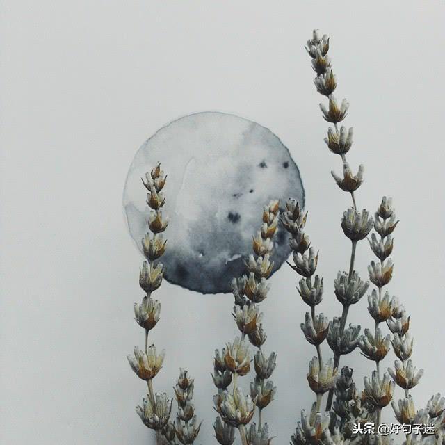 很成熟很现实的说说，很成熟现实的经典说说大全（很成熟很现实的个性说说）