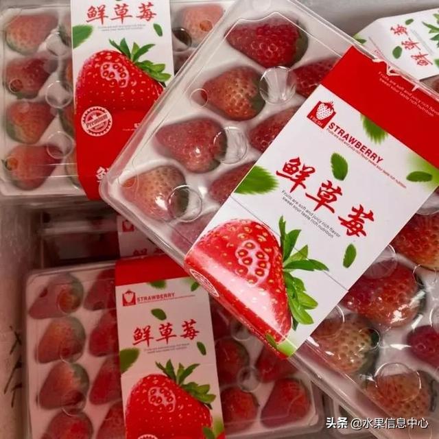 车厘子jdd是什么规格，车厘子中jd是什么规格（船运车厘子即将到货）