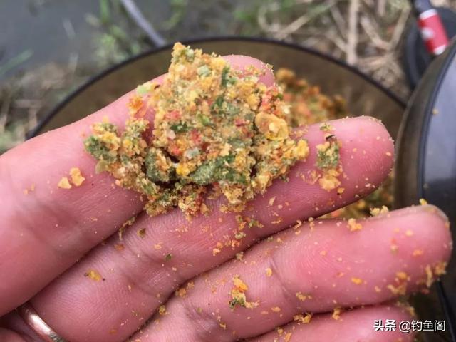 钓鱼用什么鱼饵最好，野钓适合什么鱼饵（原来这10款最受欢迎）