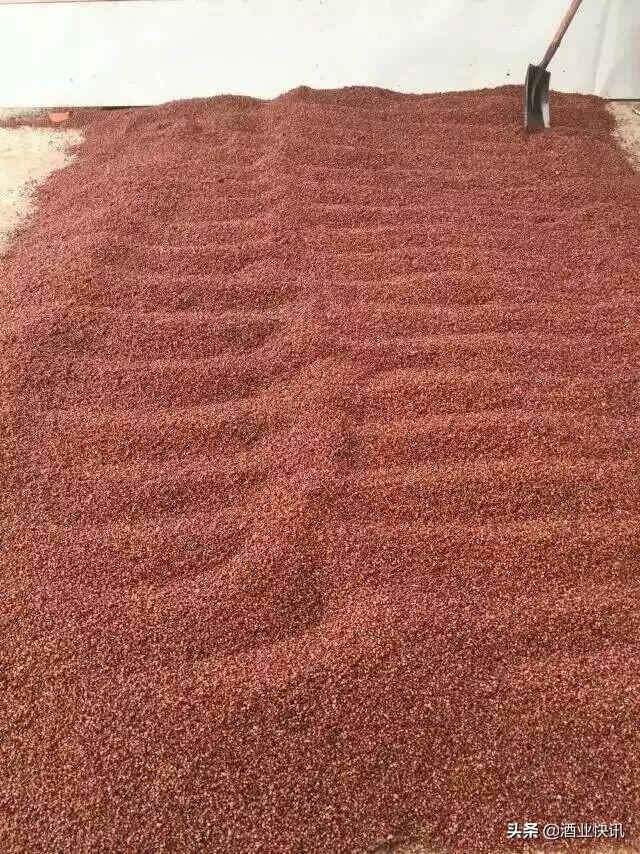 烧酒的度数一般是多少，白酒知识酒的度数