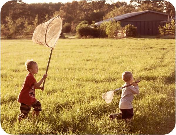 蜻蜓的特点是什么，蜻蜓的特点是什么技能（蜻蜓的特点是什么）