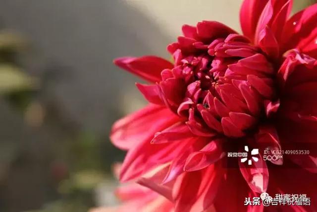同事退休祝福语，给退休同事的祝福语2022（退休三气、三有、三乐……句句入骨）