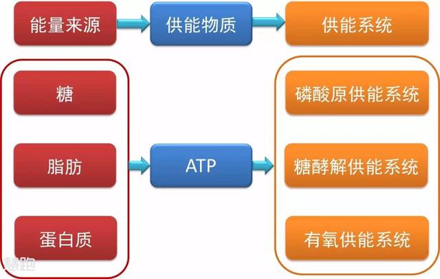 无氧运动的特点，什么是无氧运动（无氧运动和有氧运动有何区别）