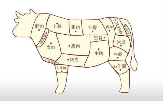 牛霖是牛的哪个部位，牛霖的营养价值（想弄懂牛肉的各个部位吗）