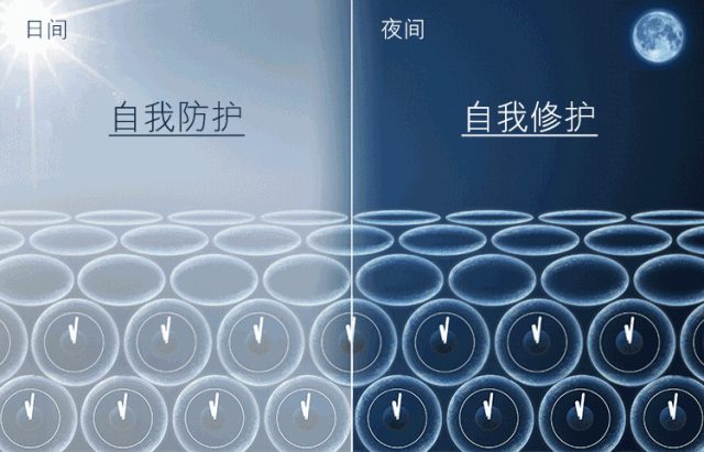 雅诗兰黛眼霜好用吗，雅诗兰黛红石榴球型眼霜好用吗（雅诗兰黛新款抗蓝光眼霜真这么厉害）