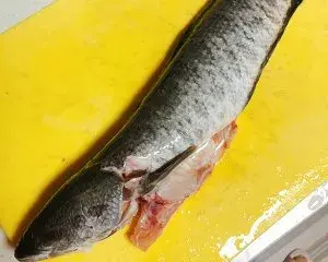 手术病人的乌鱼汤做法，能量补给第一名的黑鱼汤