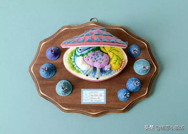 草履虫结构图手绘,草履虫结构图简笔画(平面设计作品集)