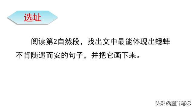蟋蟀的住宅指的是什么，蟋蟀的住宅 是指什么（第三单元《蟋蟀的住宅》课文讲析）