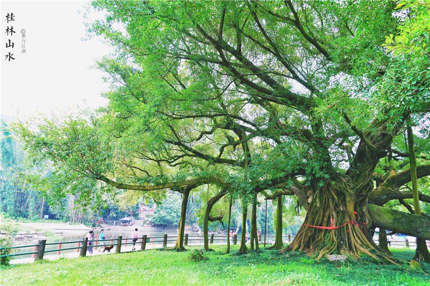 桂林山水图片风景图片(广西桂林旅游必去十大景点)插图(4)