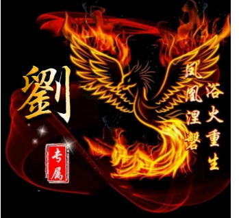 女凤凰，微信头像，女凤凰（浴火重生的微信姓氏头像送给你）