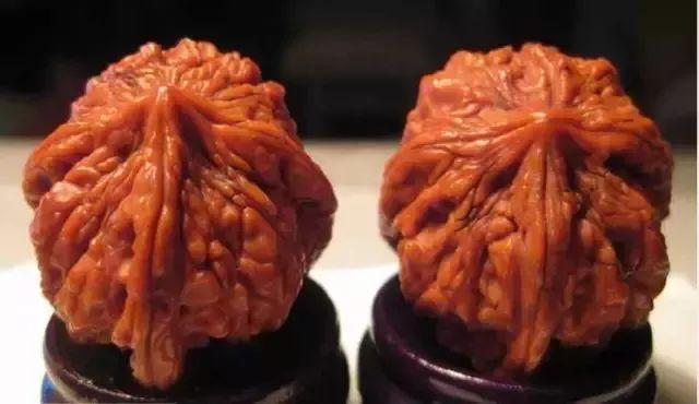 狮子头核桃种类分类有哪些（文玩核桃狮子头大全）