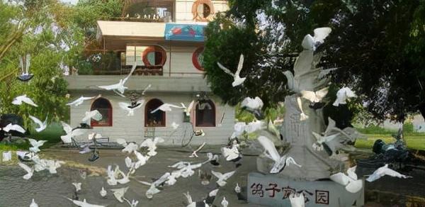 北戴河旅游景点，北戴河旅游景点大全（北戴河自驾游精华景点攻略推荐）