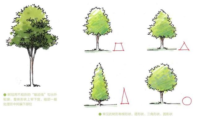 超简单风景速写入门初学者，适合初学者学习的速写中植物配景的画法图解教程